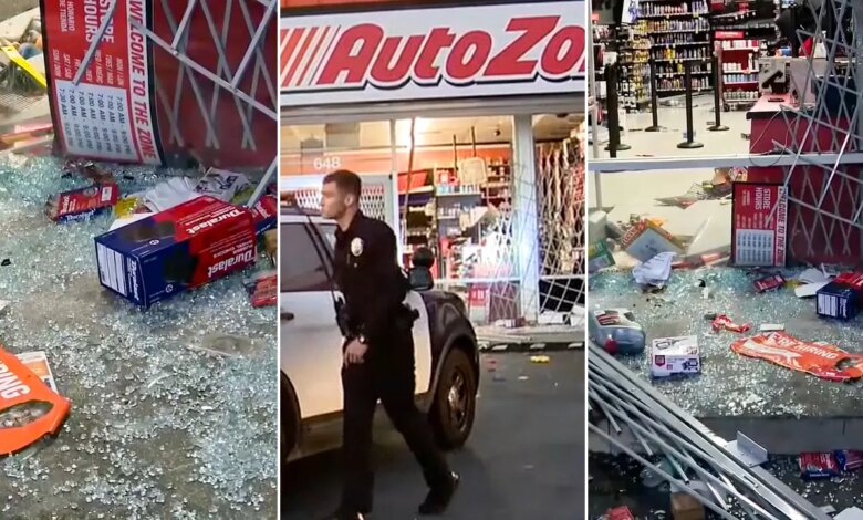 Over 100 looters ransack AutoZone in possible LA street takeover Over 100 looters ransack AutoZone in possible LA street takeover