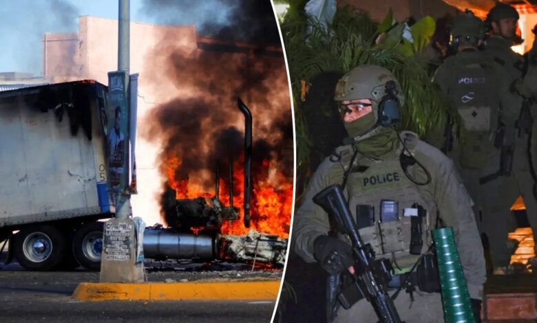 US government taking ‘dramatically different approach’ using terrorism charges against drug cartels: FBI alum