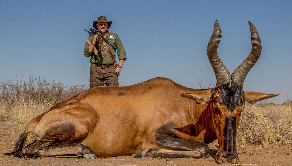 red hartebeast bull safari 300 HH magnum