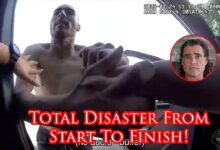 Man Steals Officer's Gun And Cruiser Before Partner Ends The Threat