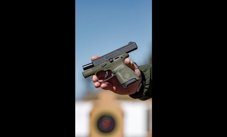 What are your thoughts on the APX A1 Carry? | Concealed Carry Handgun