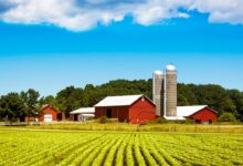 BROOKE ROLLINS: Farm security is national security
