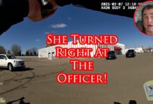 Bismarck Officer Defends Partner From Attack