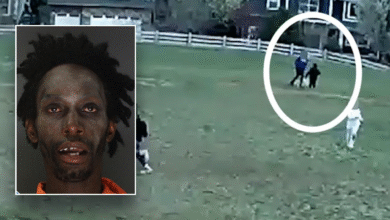 Prosecutor to let registered sex offender walk free after elementary school kidnapping attempt