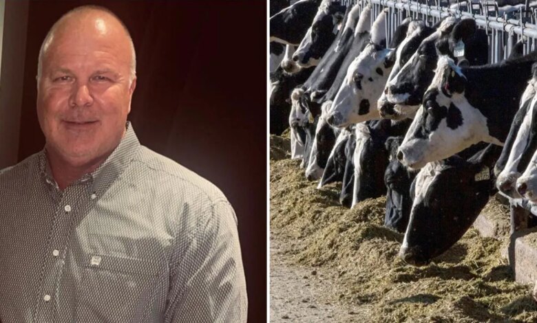 Victims of ‘Bernie Madoff of cows’ take on major banks in massive ghost cattle Ponzi scheme Victims of ‘Bernie Madoff of cows’ take on major banks in massive ghost cattle Ponzi scheme