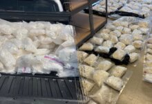 PAM BONDI & ROBERT MURPHY: Team Trump is fighting deadly drug cartels to save American lives