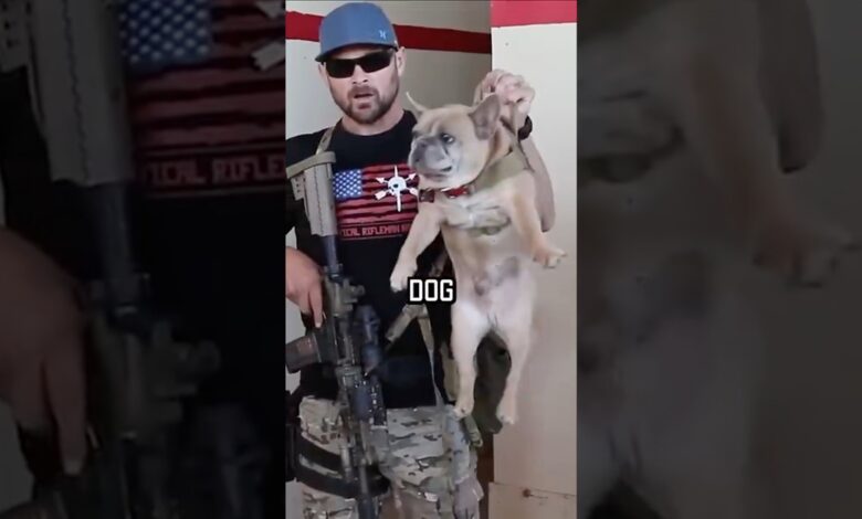 How a Navy Seal clears a room #shorts #navyseal #dog