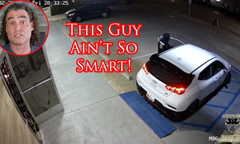 Car Thief Gets A Fat Lip From Angry Car Owner