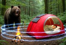 25 Insane Camping Gadgets You’ll Wish You Had Sooner!