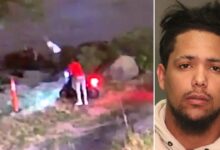 Off-duty CBP officer shot during attempted robbery involving previously-deported illegal immigrant: DHS
