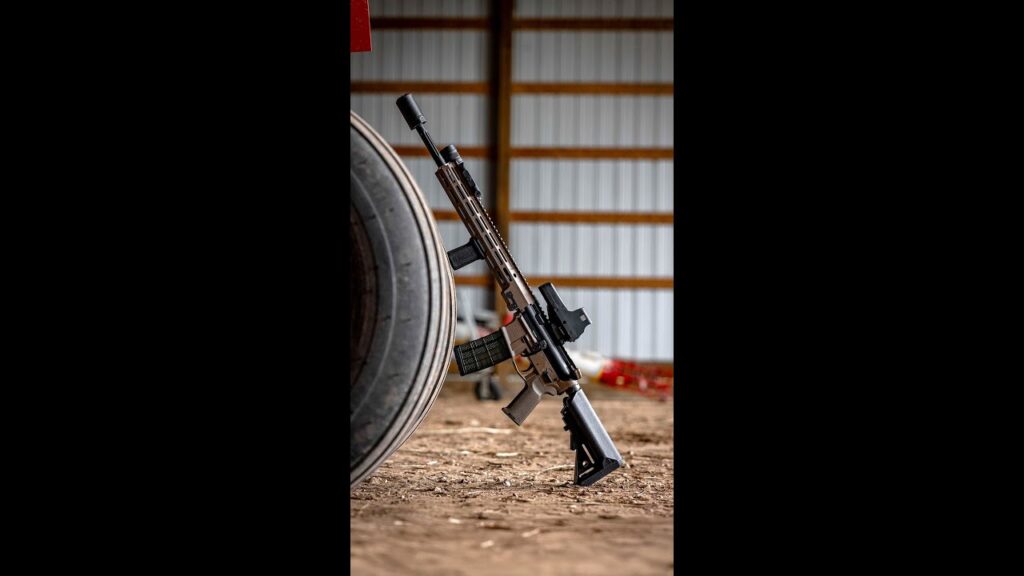 What are the first TWO things you put on your AR15s?