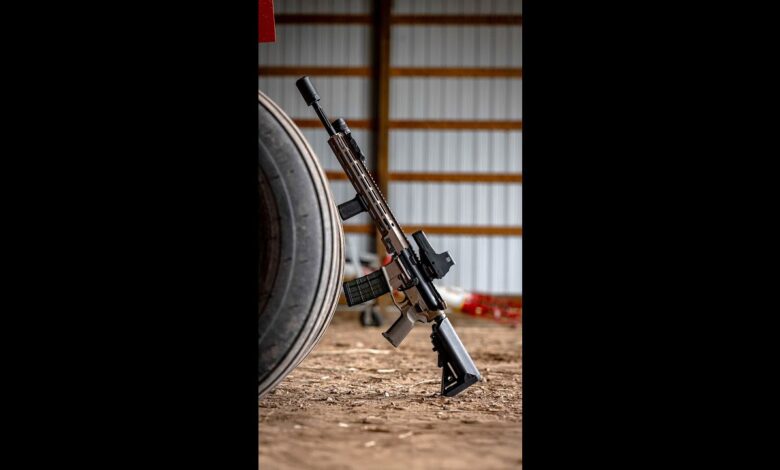What are the first TWO things you put on your AR15s?