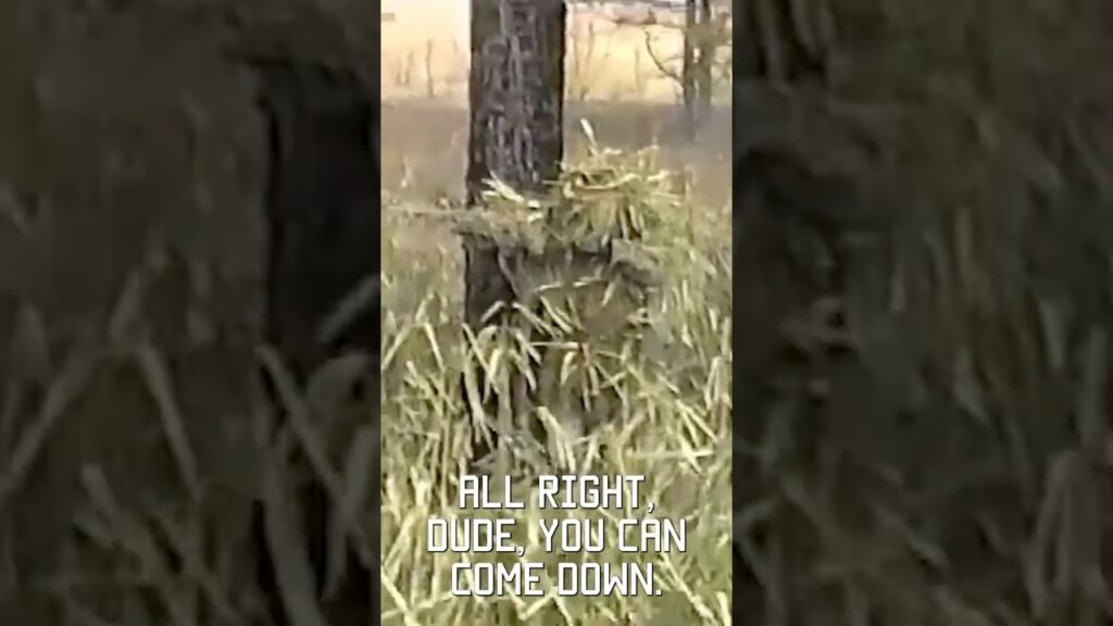 Military Sniper Stalk footage, 1994 on VHS #shorts #vhs #military