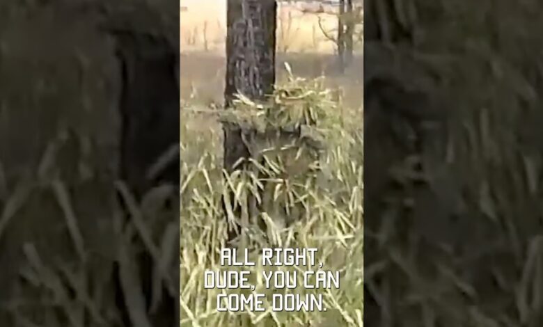 Military Sniper Stalk footage, 1994 on VHS #shorts #vhs #military