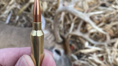 .25 Creedmoor: A Huge Niche