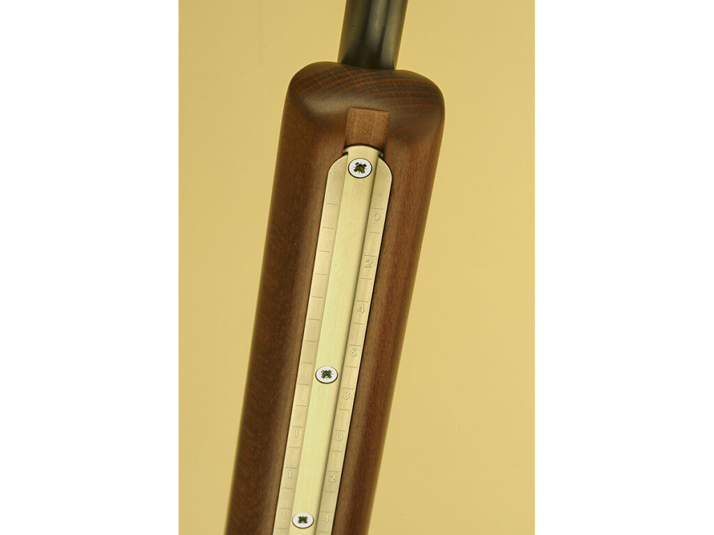 Anschutz 1761 accessory rail