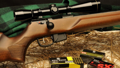 Anschutz Model 1761 Review: Nearly Perfect Plinker