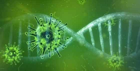Next Plandemic? Drug-Resistant BAT-HUMAN HYBRID FLU Engineered by NIH-funded Researchers Next Plandemic? Drug-Resistant BAT-HUMAN HYBRID FLU Engineered by NIH-funded Researchers