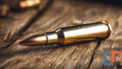 Federal Court Overturns California Ammo Background Check Law