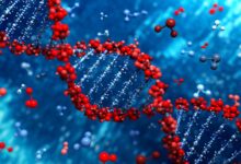 As Humanity Faces A Catastrophic Fertility Crisis, Scientists Are Creating “Synthetic Human DNA” From Scratch