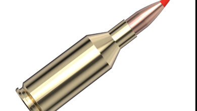 First Look: New Hornady Rifle Loads For 2025