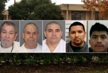 ICE in Houston releases new details about arrested illegal child sex offenders