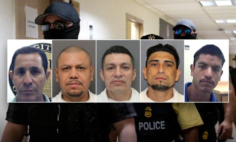 ICE arrests over 200 illegal alien child sex offenders in Houston area in past 6 months