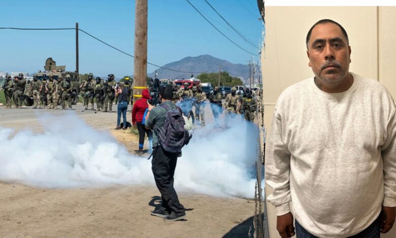 Child predator among more than 300 nabbed in cannabis farm ICE raid, largest of Trump’s second term Child predator among more than 300 nabbed in cannabis farm ICE raid, largest of Trump’s second term