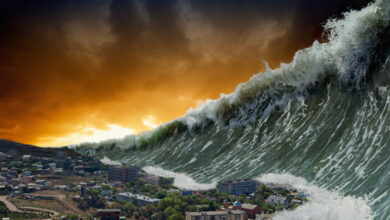 Tsunami Hits Hawaii After Earthquake Off Russia’s Eastern Coast
