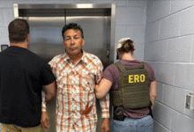 ICE arrests illegal immigrant who was released despite charges of sex crimes against children