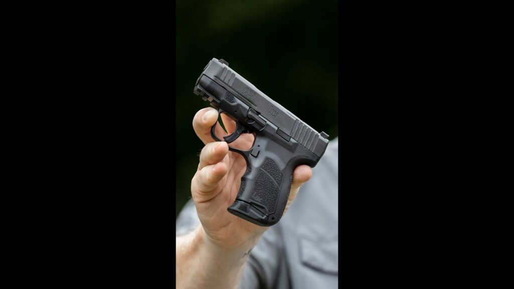 Would you carry it, YES or NO? (HK CC9)