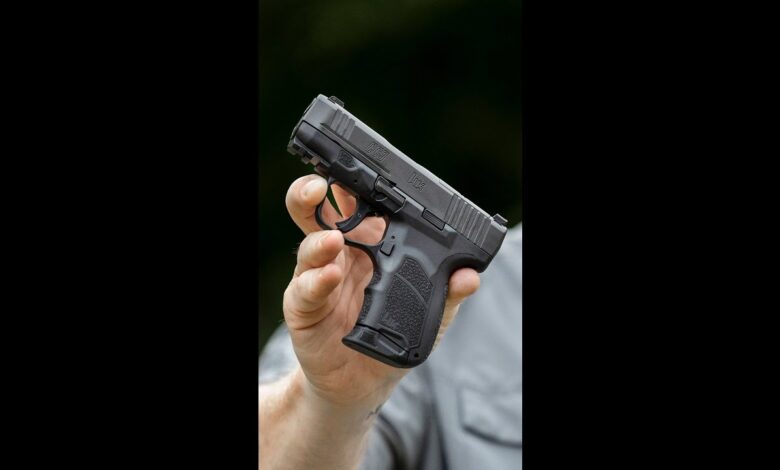 Would you carry it, YES or NO? (HK CC9)