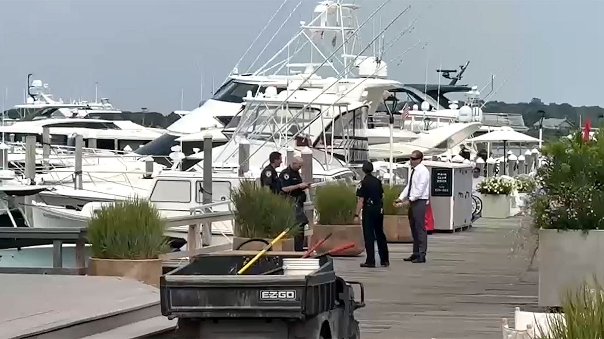 Police officers on a dock in front of boats