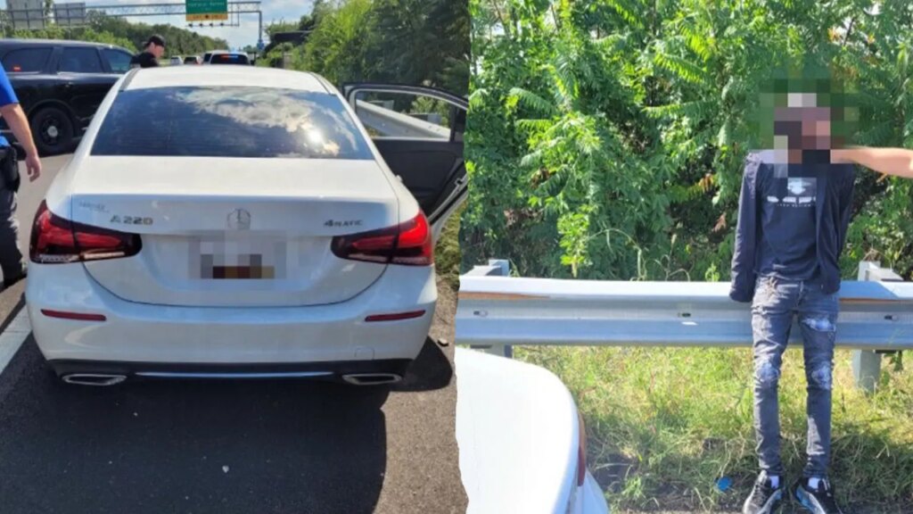 CBP agents foil carjacking suspect in Washington DC as Trump makes city ‘safe and beautiful’