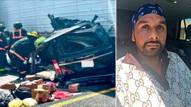 Illegal immigrant trucker accused of killing three people failed English, road sign tests: DOT