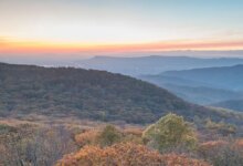 Mountain town rocked after country singer’s mom murdered in random home invasion