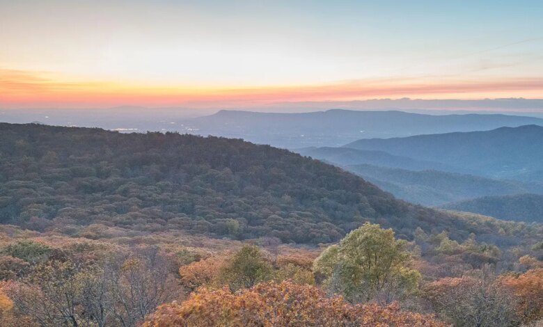 Mountain town rocked after country singer’s mom murdered in random home invasion