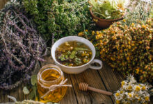 Herbal and Alternative Antibiotics – Survivopedia