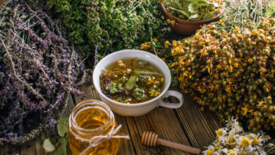 Herbal and Alternative Antibiotics – Survivopedia