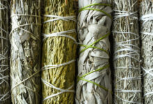 8 Medicinal Plants the Native Americans Used for Survival – Survivopedia