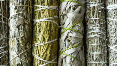 8 Medicinal Plants the Native Americans Used for Survival – Survivopedia