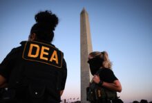 DEA head says phone calls are coming from ‘all over the country’ from fed agents wanting to help in DC