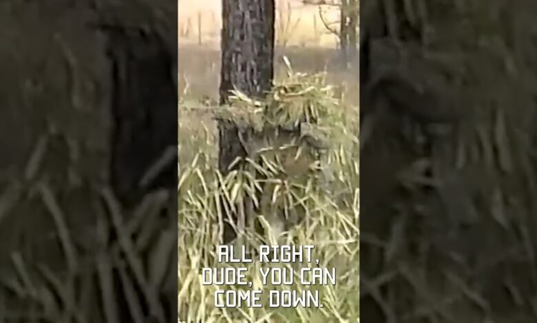 The greatest military camoflauge of all-time (1994 VHS footage of a sniper stalk) #shorts #vhs