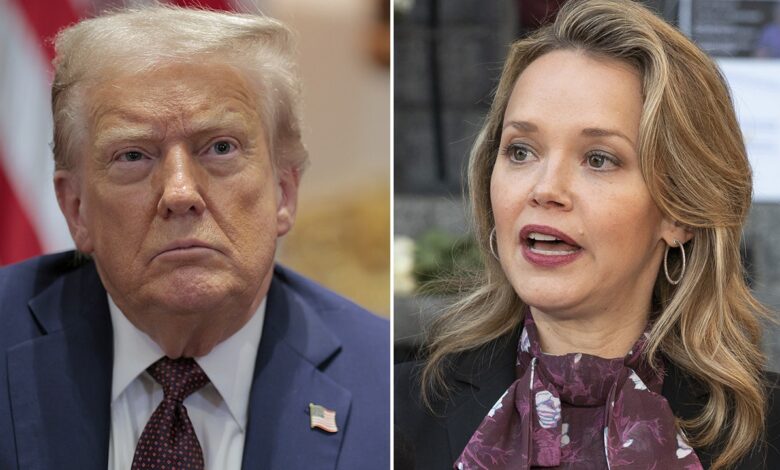 New Orleans Democrats reject Trump’s possible National Guard crime intervention New Orleans Democrats reject Trump’s possible National Guard crime intervention