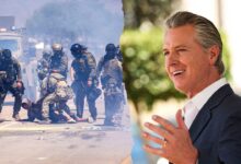 Newsom rips pot farm raids as cartels, Chinese adversaries infiltrate grow operations endangering Americans