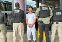 ICE deports Mexican illegal immigrant accused of aggravated rape against family member