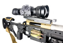 6mm Superiority – Gun Digest