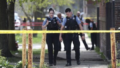 Blue city’s bail policy lets professional bad guys terrorize community with ‘no constraints’: police veteran