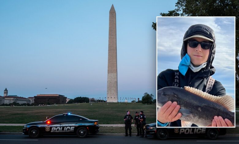 Two teens arrested in murder of Capitol Hill intern, third sought: DOJ, DC police