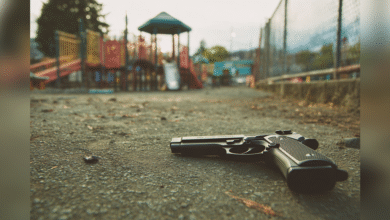 Irresponsible Gun Owner Leaves Handgun At Park For Kid To Find
